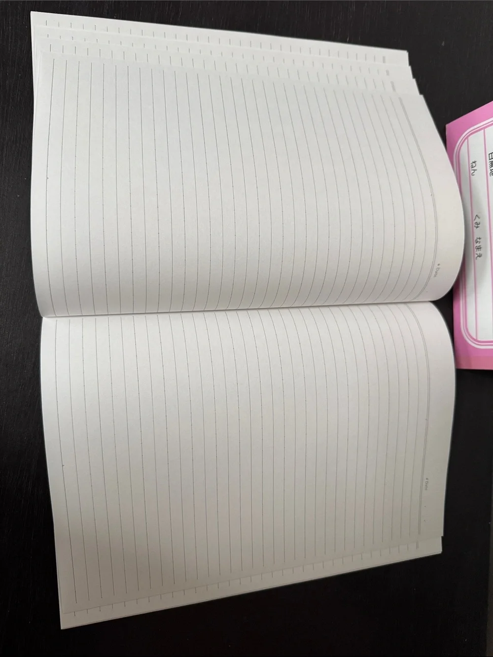 Sentimental Circus and Hamtaro Notebooks